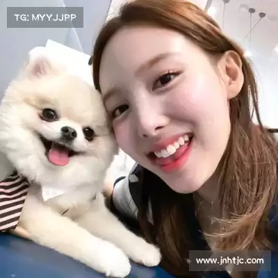 晏清飚